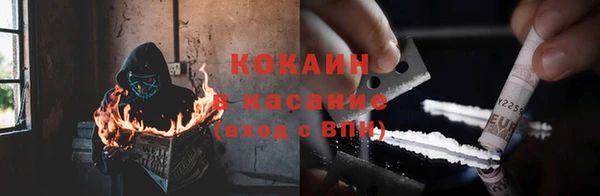 эйфоретик Кукмор